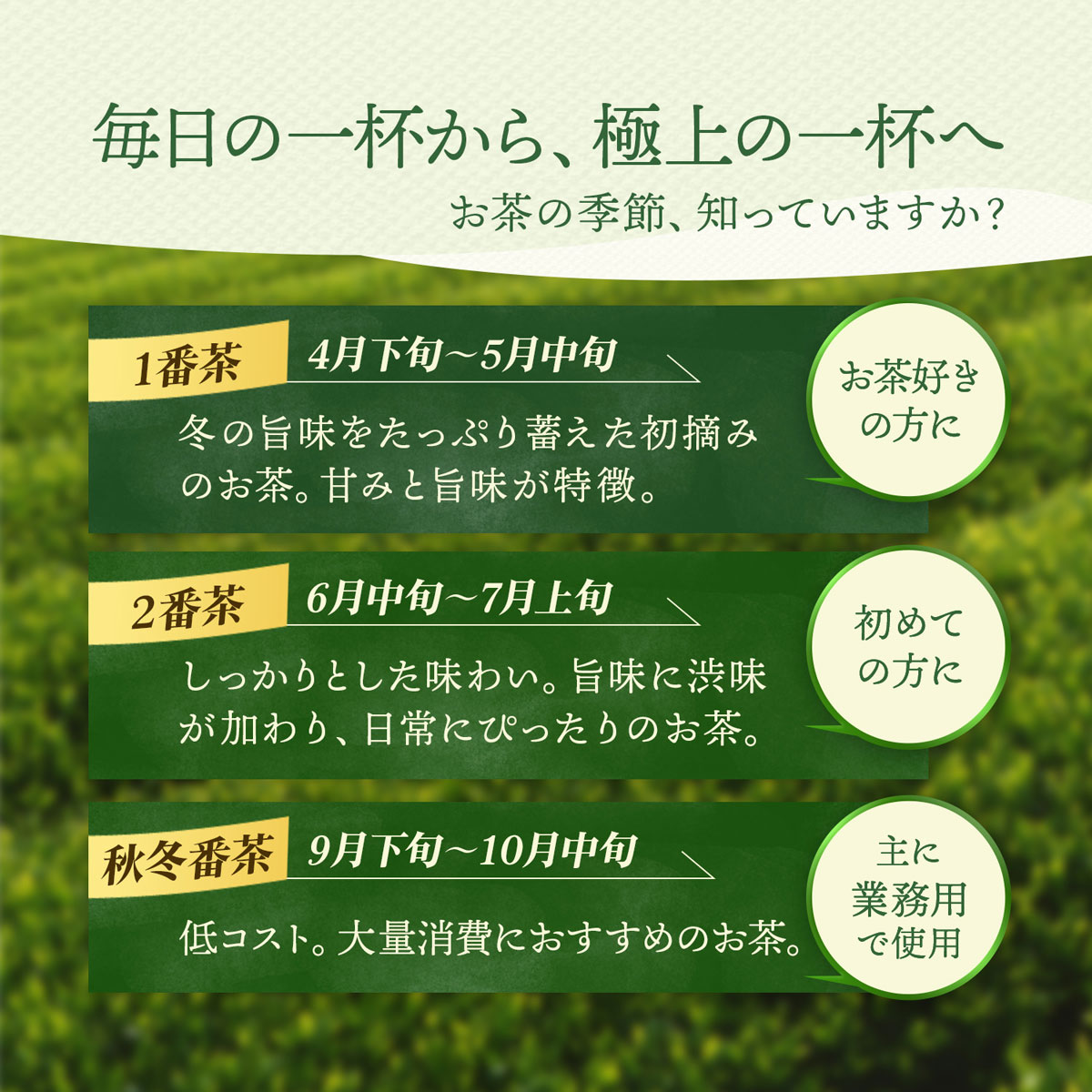 リーフ選べる3種 楽天 商品ページ 商品画像 5