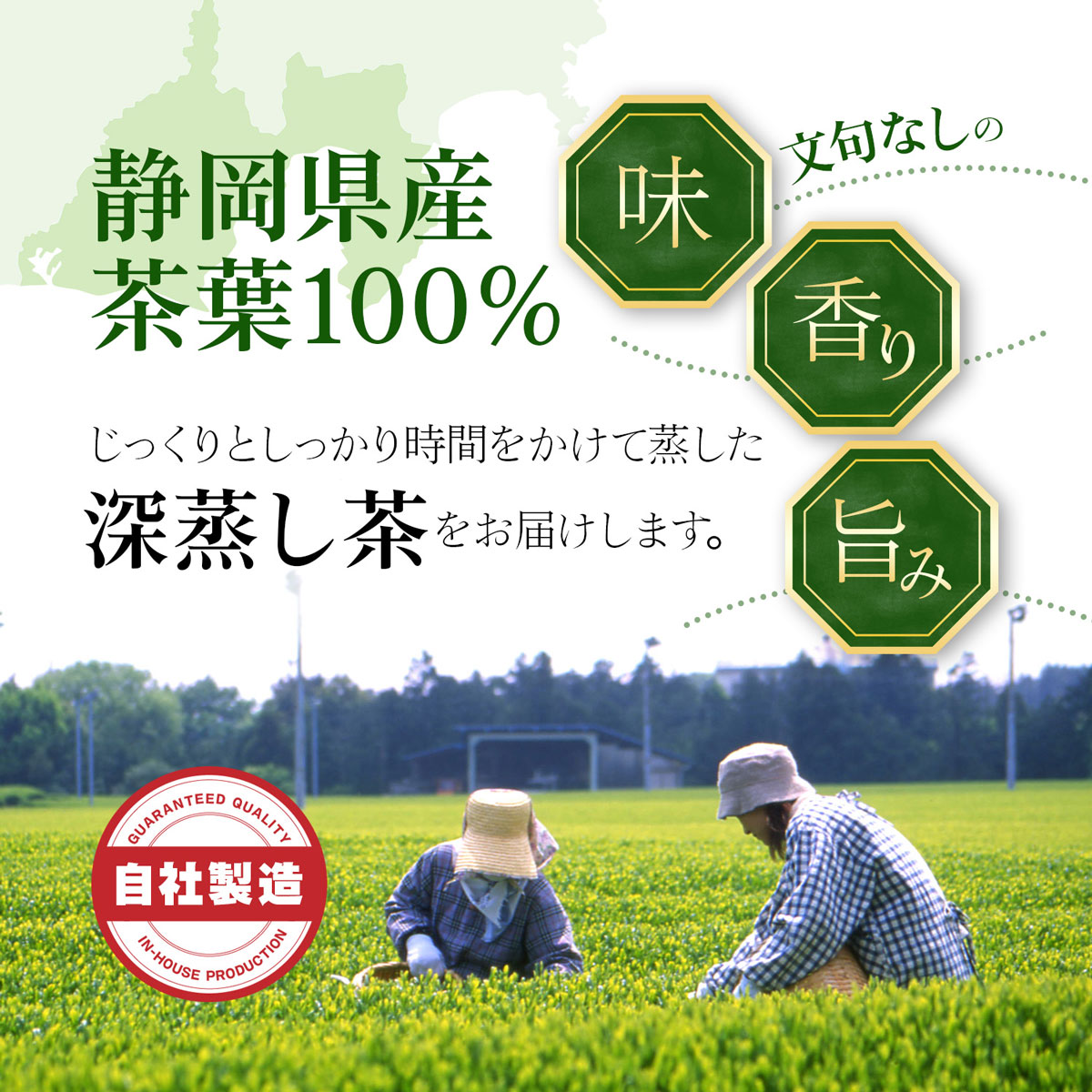 リーフ選べる3種 楽天 商品ページ 商品画像 6
