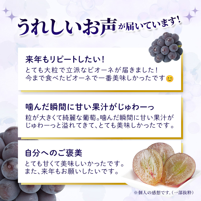 ピオーネ 楽天 商品ページ 商品画像 1