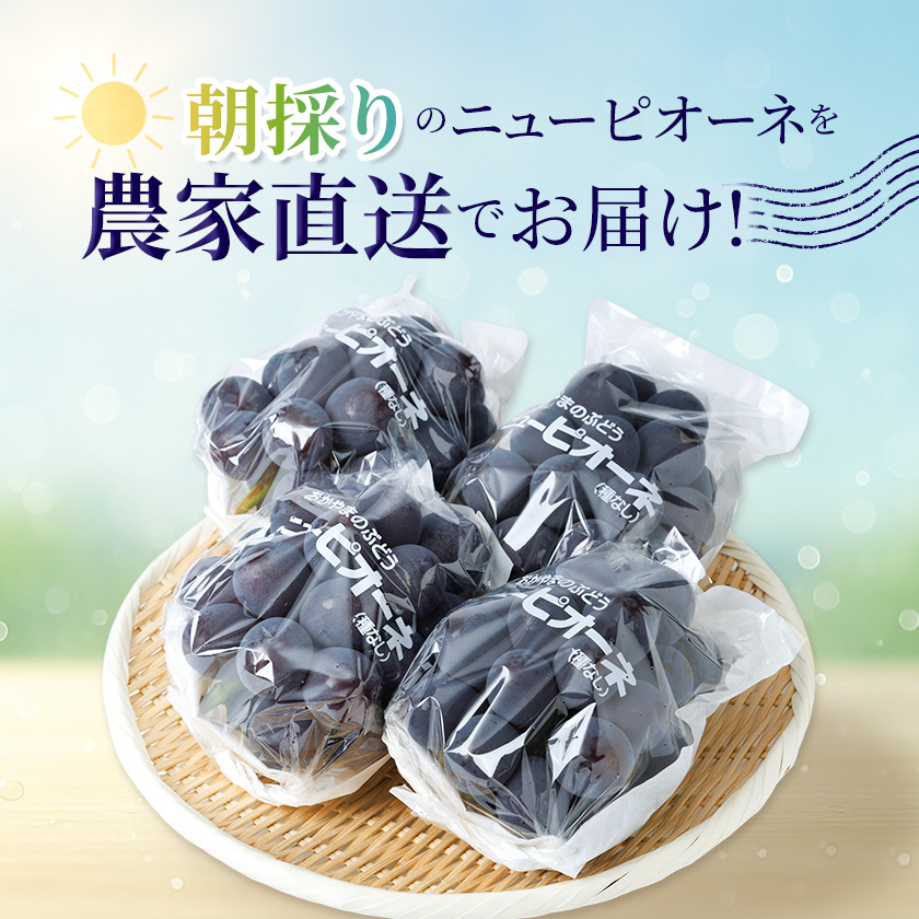 ピオーネ 楽天 商品ページ 商品画像 2