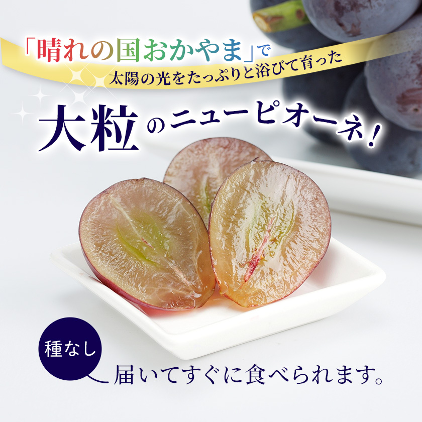 ピオーネ 楽天 商品ページ 商品画像 3