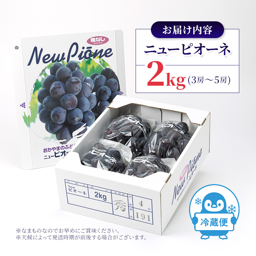 ピオーネ 楽天 商品ページ 商品画像 4